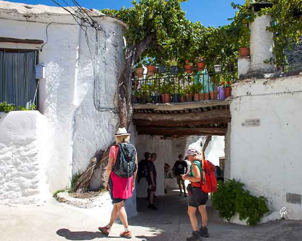 Spania_Sierra-Nevada_Mecinilla