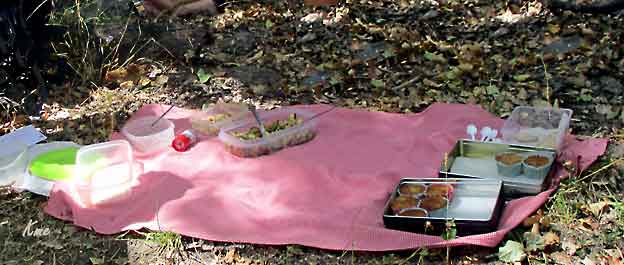 Spania_Sierra-Nevada