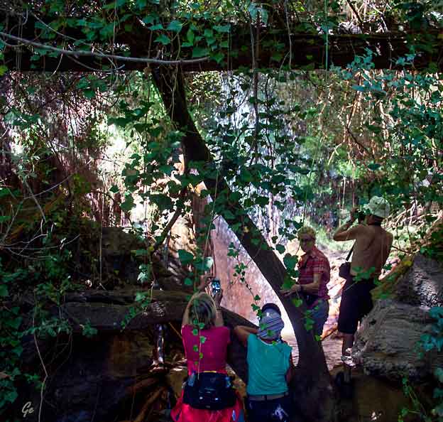 Spania_Sierra-Nevada_fossen