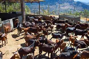 Spania_Sierra-Nevada