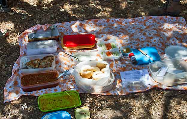 Spania_Sierra-Nevada_rast