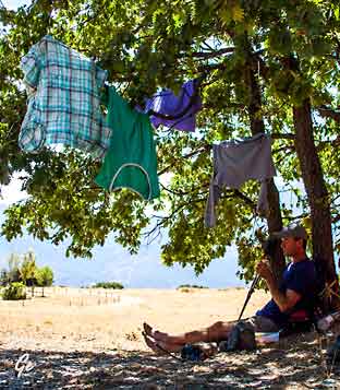 Spania_Sierra-Nevada_rast