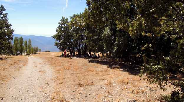 Spania_Sierra-Nevada_rast