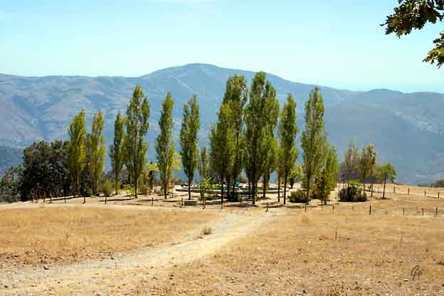 Spania_Sierra-Nevada_Buddhistsentret