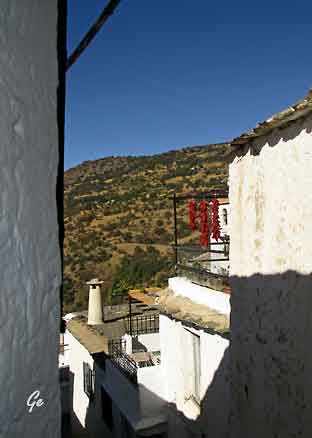 Spania_Sierra-Nevada_Capeleira