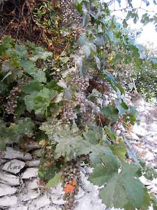 Spania_Sierra-Nevada_Bubion