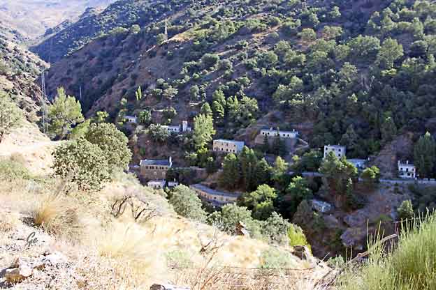 Spania_Sierra-Nevada_Cebadilla