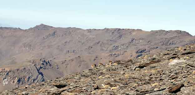 Spania_Sierra-Nevada_Mulhacen