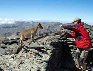 Spania_Sierra-Nevada_Mulhacen