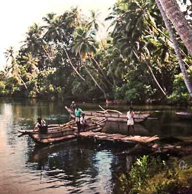Sri-Lanka_Ceylon_jungeltur