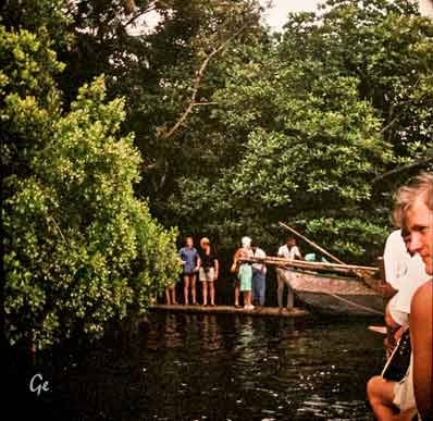 Sri-Lanka_Ceylon_jungeltur