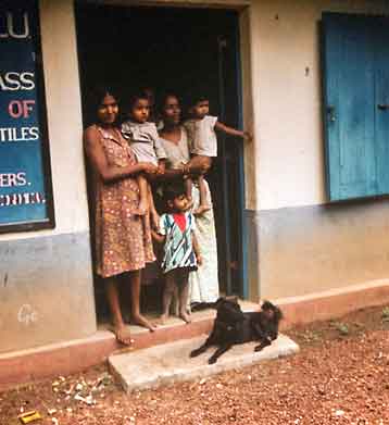 Sri-Lanka_Ceylon_Hikkaduwa_jungelen