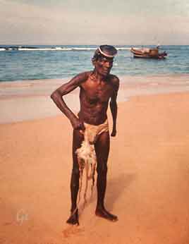 Sri-Lanka_Ceylon_Hikkaduwa_blekksprutfanger
