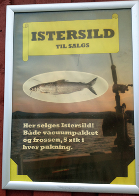 Somadalen-Landhandel_istersild