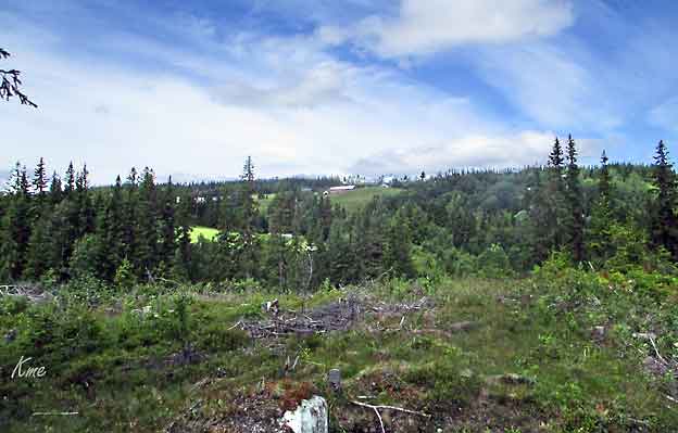 Buskerud_Nesbyen_Rodberg