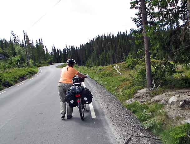 Buskerud_Nesbyen_Rodberg