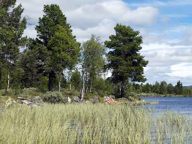 Buskerud_Nesbyen-Rodberg_Buvatn