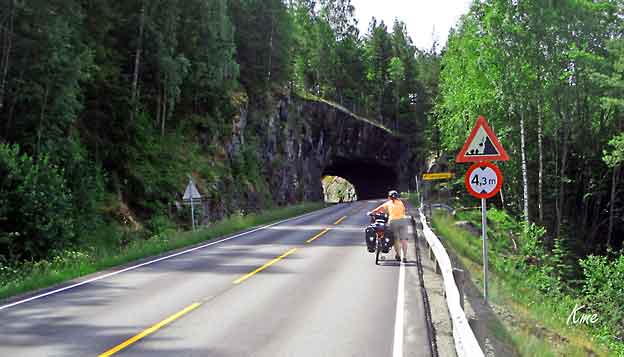 Buskerud_Rodberg-Veggli