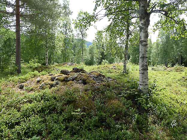 Buskerud_Rodberg-Veggli_Frygne_gravfelt