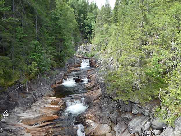 Buskerud_Rodberg-Veggli_Frygne