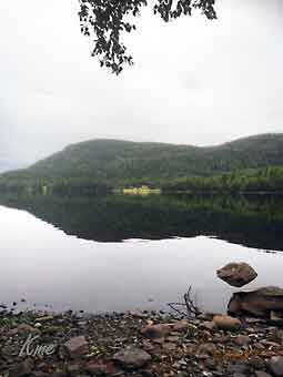 Buskerud_Rodberg-Veggli