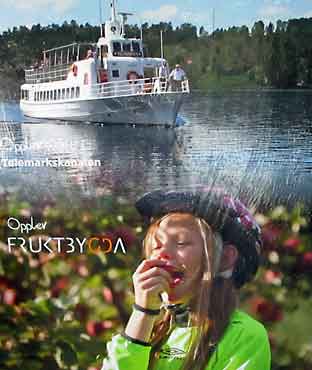 Telemark_Akkerhaugen_fruktbygda