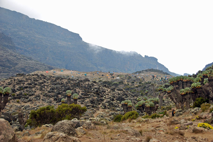 Tanzania_Barranco-leiren