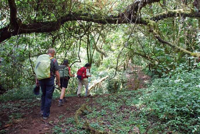 Tanzania_Kilimanjaro_vi_er_i_gang