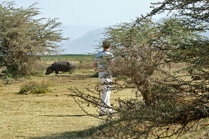 Lake_Manyara_Erling_vil_hilse_paa_flodhesten
