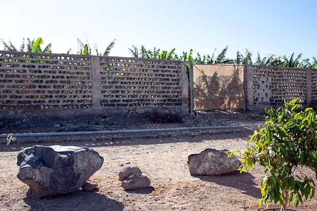 Tenerife_bananplantasje-Adejekysten