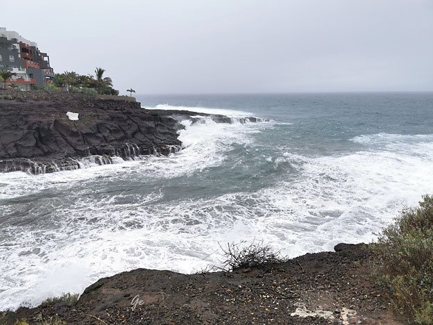 Tenerife_ved_Riu-Buenavistad_Playa_las_Galgas