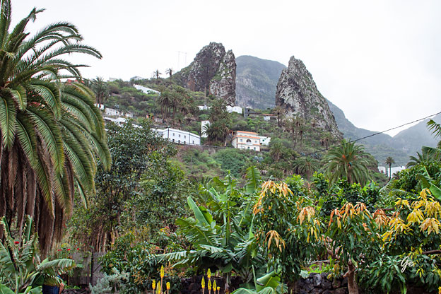 Gomera_Hermigua