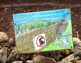 Gomera_Parque-Nacional-de-Garajonay_modell