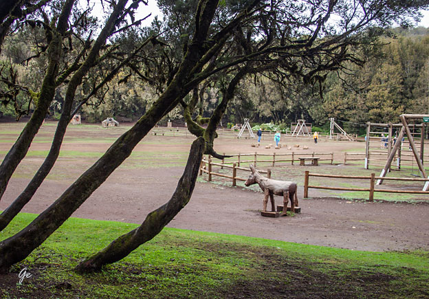 Gomera_Parque-Nacional-de-Garajonay