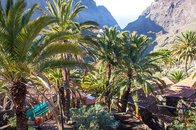 Tenerife_Basca