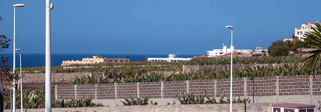 Tenerife_bananplantasjer_ved_Costa-Adeje