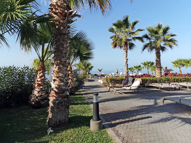 Tenerife_Riu-Buenavista