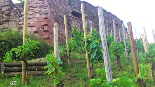 Frankrike_Epinal_borgen