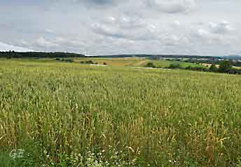 Frankrike_Epinal_field