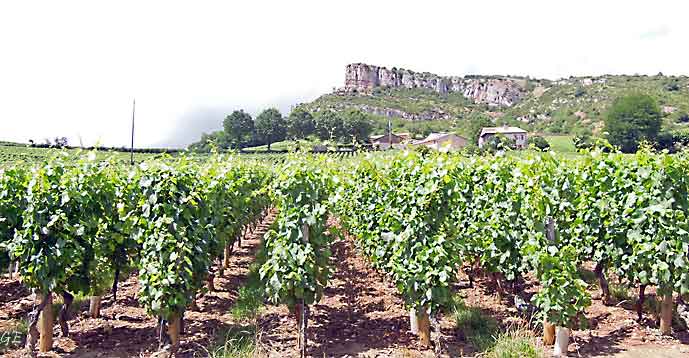 Frankrike_Pouilly-Fuisse