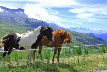 Tour_de_France_Col_de_la_Madeleine