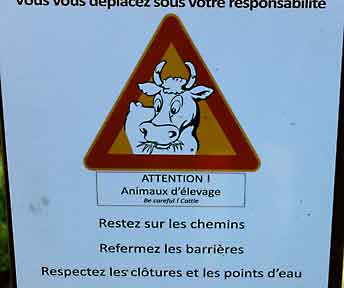 Tour_de_France_Col_du_Grand_Colombier