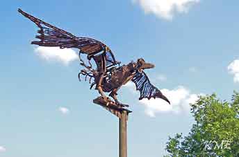 Tyskland_Cologne_fugl