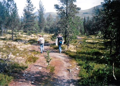 veien_til_Bjornhollia