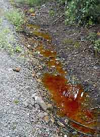 Trondelag_Lokken_verk