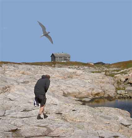 Trondelag_Titran_ved_Stabben_fort