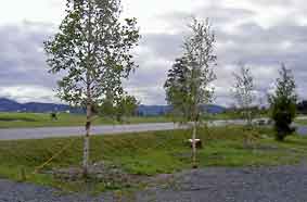 Trondheim_Byneset_golfbane