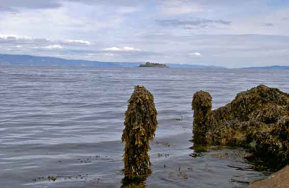 Trondheim_mot_Munkholmen_