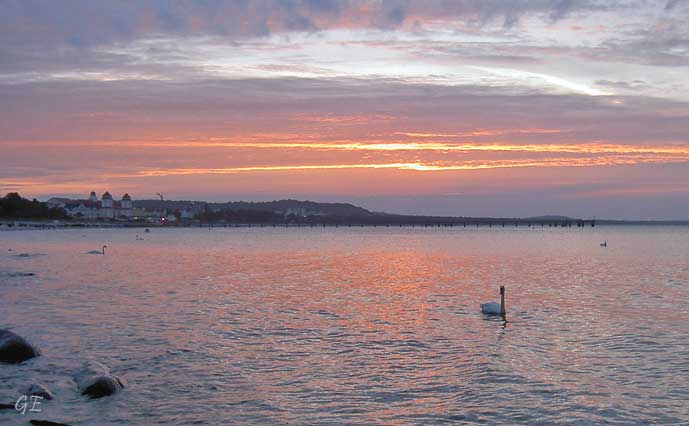 Tyskland_Rugen_Binz_svaner
