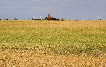 Tyskland_korn_og_fyrlykt